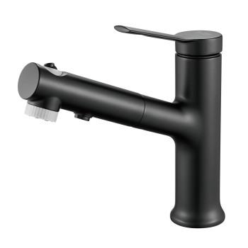 Смеситель для раковины многофункциональный Raffine F281H, черный
