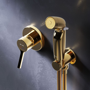 Смеситель, монтируемый в стену с гигиеническим душем