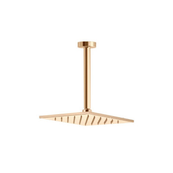 Верхний душ Webert AC0943794, матовое золото