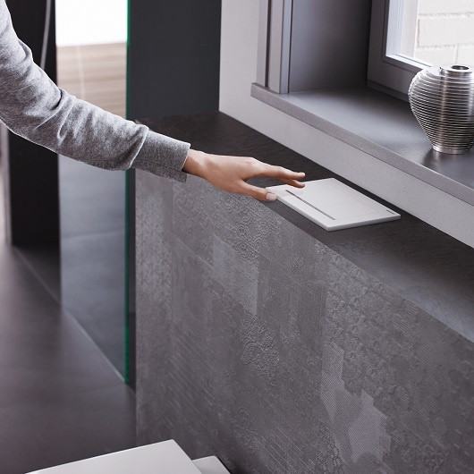 115.080.KJ.1 Смывная клавиша Geberit Omega30 для двойного смыва к 111.003/030/060 белый/глянцевый хром. Фото 5