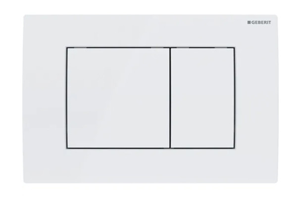 115.137.11.1 Смывная клавиша Geberit Delta30, для двойного смыва: Альпийский белый. Фото 1