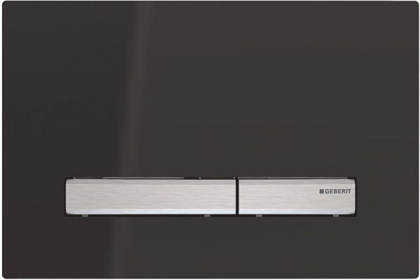 115.788.DW.2 Смывная клавиша Geberit Sigma50 для двойного смыва к 111.300/350/361/362/380/390/796 черный глянцевый/металлический хромированный. Фото 1