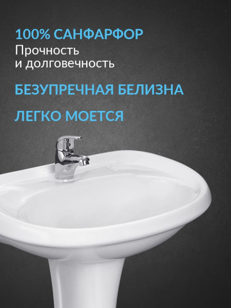 131117S0010B0PDST Умывальник Воротынский+пьедестал. Фото 4