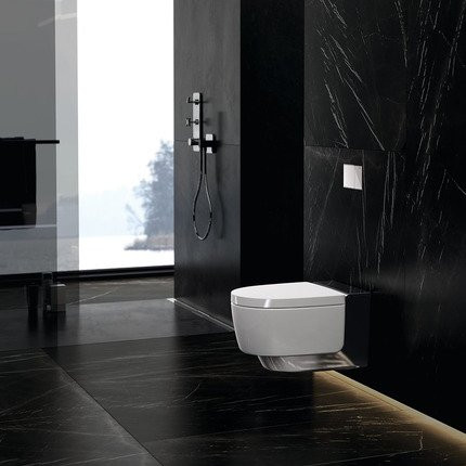 146.214.21.1 AquaClean Mera Comfort подвесной унитаз-биде, хромированная вставка. Фото 6