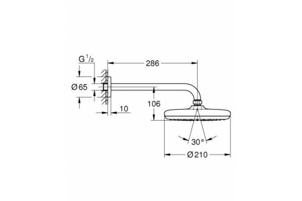 26411000 Tempesta 210 Верхний душ с душевым кронштейном 286 мм, I режим, хром. Фото 2