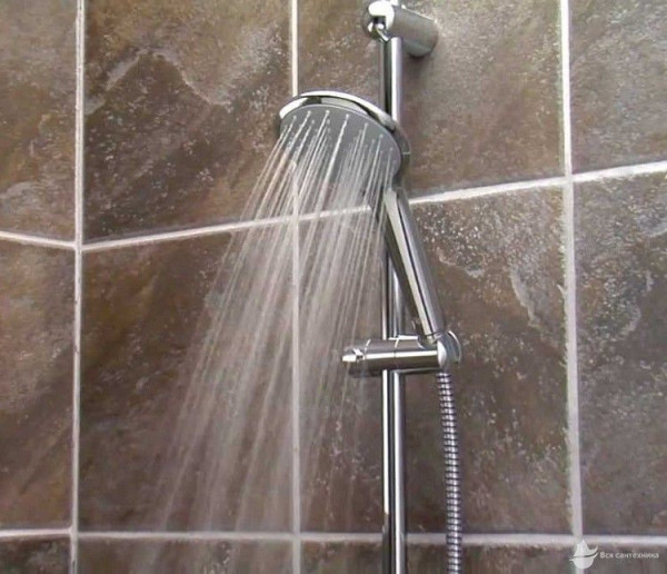 27243001 Euphoria 110 Душевой гарнитур III, душевая штанга 600 мм, шланг 1500 мм, 9,5 л/мин, полочка, хром. Фото 2