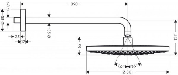27378000 HG Raindance Select S 300 2jet верхний душ. Фото 6