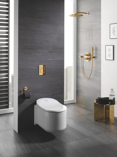 38732GL0 Skate Cosmopolitan Панель смыва для унитаза, холодный рассвет глянец (для Rapid SL и Uniset). Фото 3