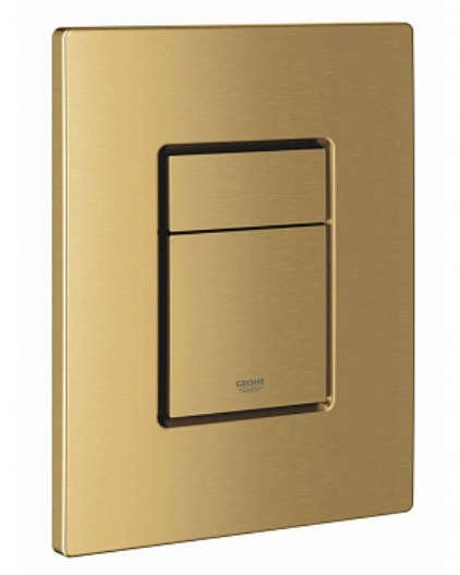 38732GN0 Skate Cosmopolitan Панель смыва для унитаза, холодный рассвет матовый (для Rapid SL и Uniset). Фото 1