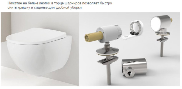500.605.01.2 Acanto сиденье с крышкой, Slim, внахлест, антибак, быстросъём. плавное опускание, петли: хромированная латунь, Белый / Глянцевый. Фото 6