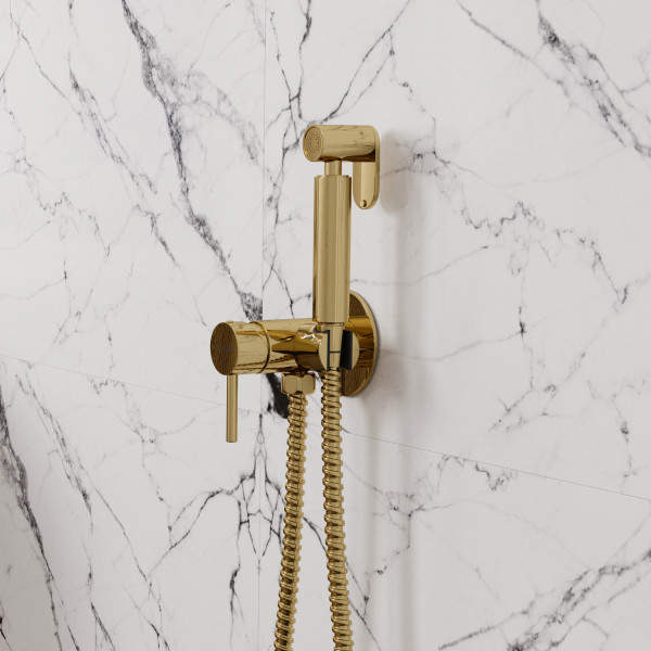 A70738 Встраиваемый смеситель для душа с гигиенической лейкой. Фото 1