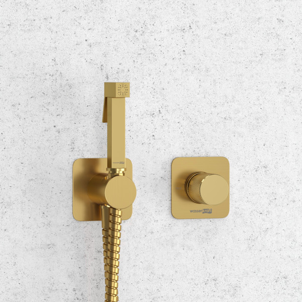 A8251.285.237.213 Встраиваемый комплект для биде со шлангом. Фото 1