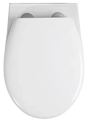 AQ0170-00 крышка-сиденье для AQ1170-00 КАИР. Фото 2