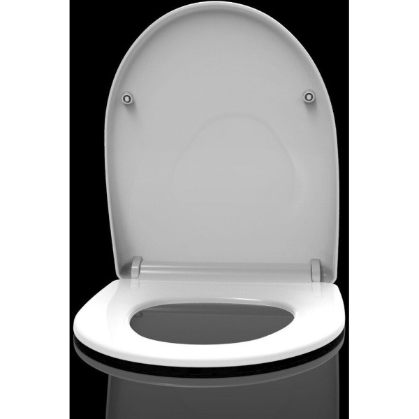 AQ0209-00 крышка-сиденье для унитаза AQ2009, белая. Фото 4