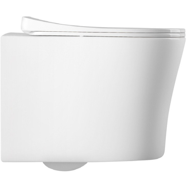 AQ0209-00 крышка-сиденье для унитаза AQ2009, белая. Фото 5