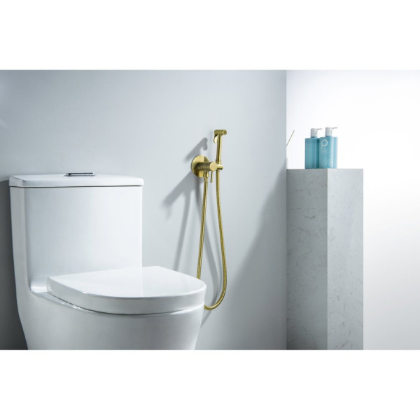 AQ1021BG ЕВРОПА комплект для гигиенического душа встроенный (смеситель + гигиеническая лейка + шланг), шлиф. золото. Фото 3