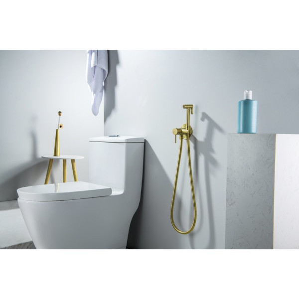 AQ1021BG ЕВРОПА комплект для гигиенического душа встроенный (смеситель + гигиеническая лейка + шланг), шлиф. золото. Фото 4