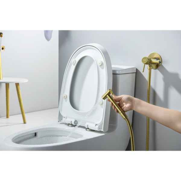 AQ1021BG ЕВРОПА комплект для гигиенического душа встроенный (смеситель + гигиеническая лейка + шланг), шлиф. золото. Фото 5