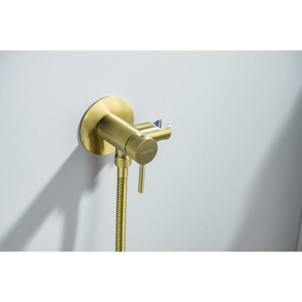 AQ1021BG ЕВРОПА комплект для гигиенического душа встроенный (смеситель + гигиеническая лейка + шланг), шлиф. золото. Фото 6