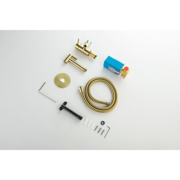 AQ1021BG ЕВРОПА комплект для гигиенического душа встроенный (смеситель + гигиеническая лейка + шланг), шлиф. золото. Фото 8