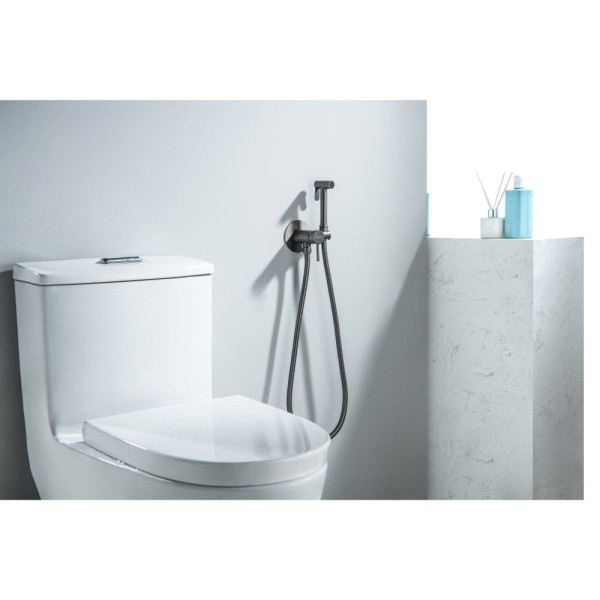 AQ1021BGM ЕВРОПА комплект для гигиенического душа встроенный (смеситель + гигиеническая лейка + шланг), оружейная сталь (шлиф. черный хром). Фото 2