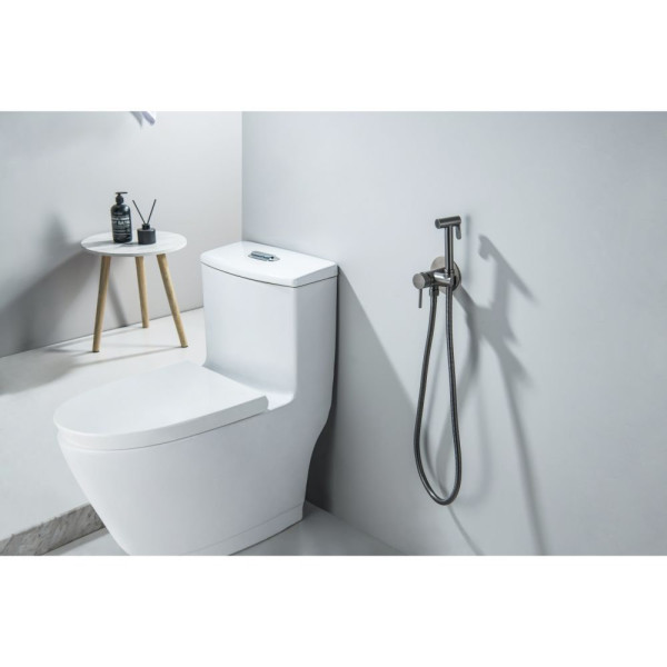 AQ1021BGM ЕВРОПА комплект для гигиенического душа встроенный (смеситель + гигиеническая лейка + шланг), оружейная сталь (шлиф. черный хром). Фото 3