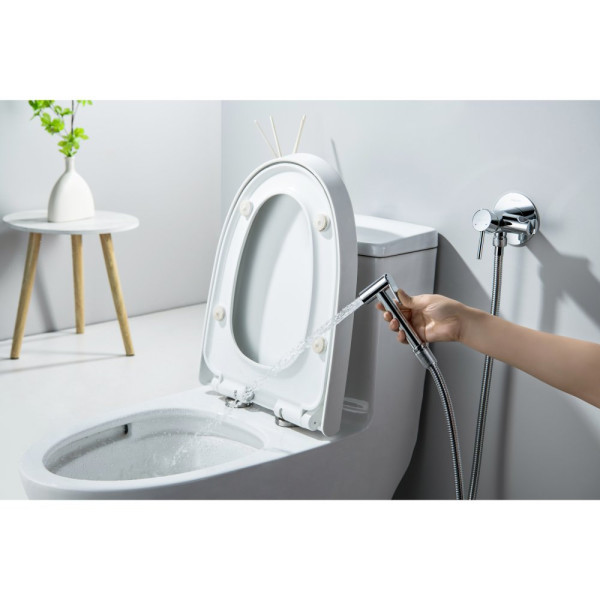 AQ1021CR ЕВРОПА комплект для гигиенического душа встроенный (смеситель + гигиеническая лейка + шланг). Фото 6