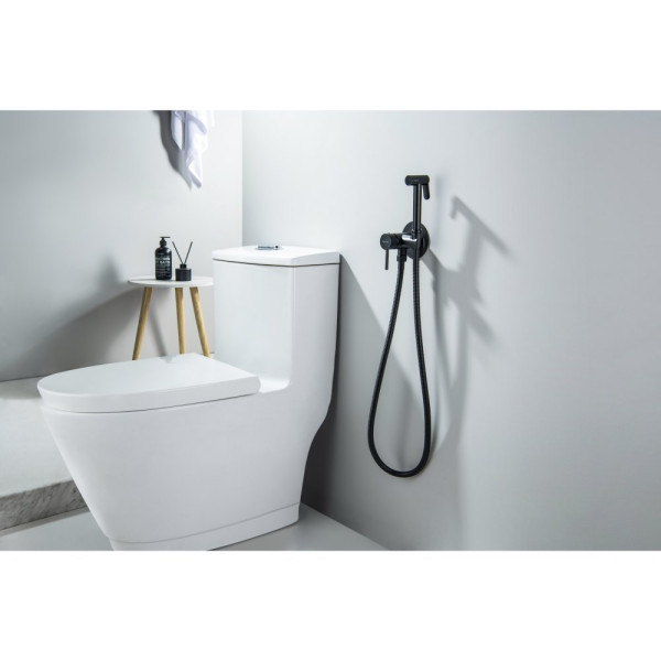 AQ1021MB ЕВРОПА комплект для гигиенического душа встроенный (смеситель + гигиеническая лейка + шланг), матовый черный. Фото 5