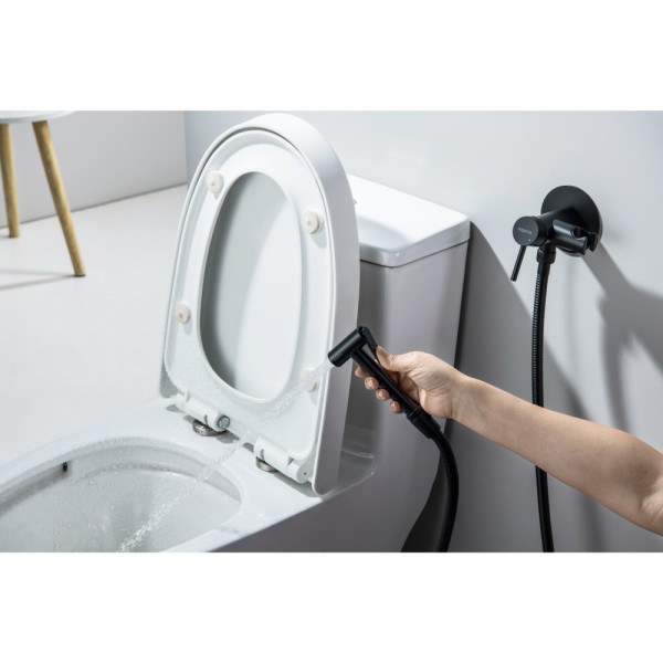 AQ1021MB ЕВРОПА комплект для гигиенического душа встроенный (смеситель + гигиеническая лейка + шланг), матовый черный. Фото 6