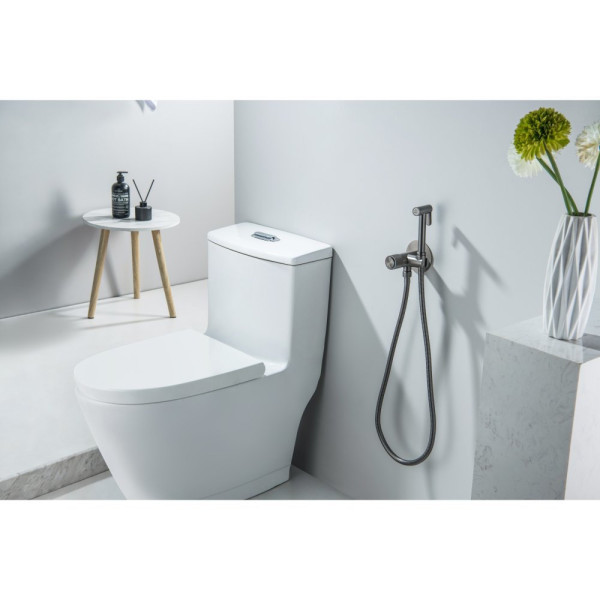 AQ1023BGM БЕТТА комплект для гигиенического душа Select встроенный (смеситель + гигиеническая лейка + шланг), оружейная сталь (шлиф. черный хром). Фото 5