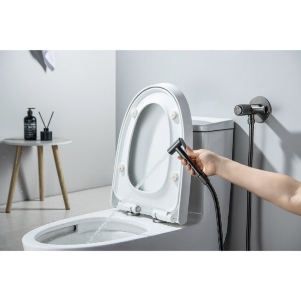 AQ1023BGM БЕТТА комплект для гигиенического душа Select встроенный (смеситель + гигиеническая лейка + шланг), оружейная сталь (шлиф. черный хром). Фото 6