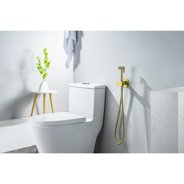 AQ1024BG ОБЕРОН комплект для гигиенического душа встроенный (смеситель c прогрессивным картриджем + гигиеническая лейка + шланг), шлиф. золото. Фото 4