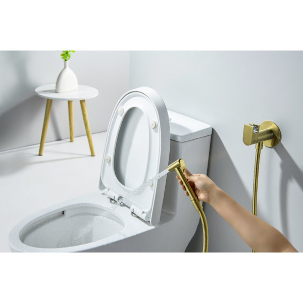 AQ1024BG ОБЕРОН комплект для гигиенического душа встроенный (смеситель c прогрессивным картриджем + гигиеническая лейка + шланг), шлиф. золото. Фото 5