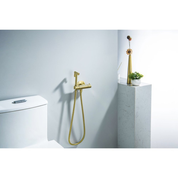 AQ1027BG ОБЕРОН комплект для гигиенического душа термостатический встроенный (смеситель + гигиеническая лейка + шланг), шлиф. золото. Фото 3