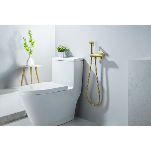 AQ1027BG ОБЕРОН комплект для гигиенического душа термостатический встроенный (смеситель + гигиеническая лейка + шланг), шлиф. золото. Фото 4