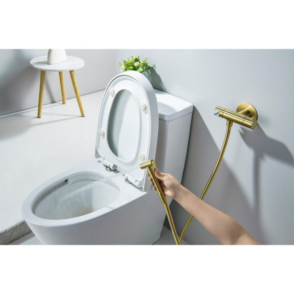 AQ1027BG ОБЕРОН комплект для гигиенического душа термостатический встроенный (смеситель + гигиеническая лейка + шланг), шлиф. золото. Фото 5