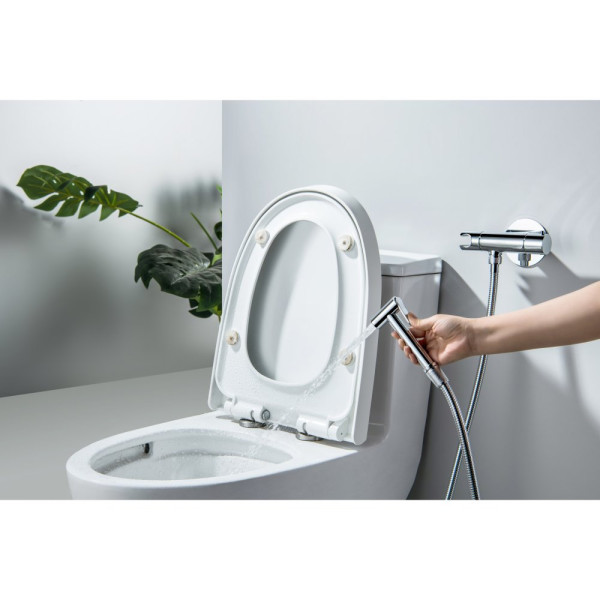 AQ1027CR ОБЕРОН комплект для гигиенического душа термостатический встроенный (смеситель + гигиеническая лейка + шланг). Фото 6