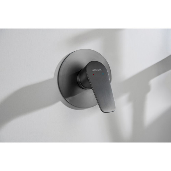 AQ1166BGM БЕТТА смеситель для душа 1 режим (внешняя и скрытая часть), оружейная сталь (шлиф. черный хром). Фото 3