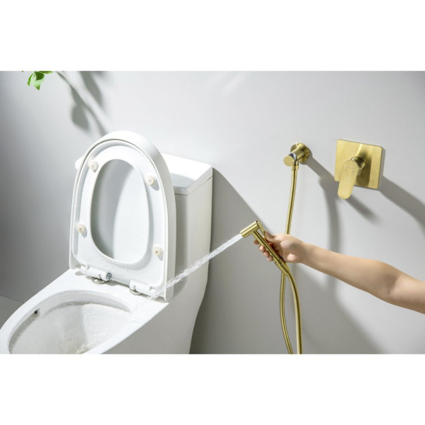 AQ1219BG ОБЕРОН набор с гигиеническим душем (смеситель + гигиеническая лейка + шланг + шланговое подсоединение с держателем), шлиф. золото. Фото 6