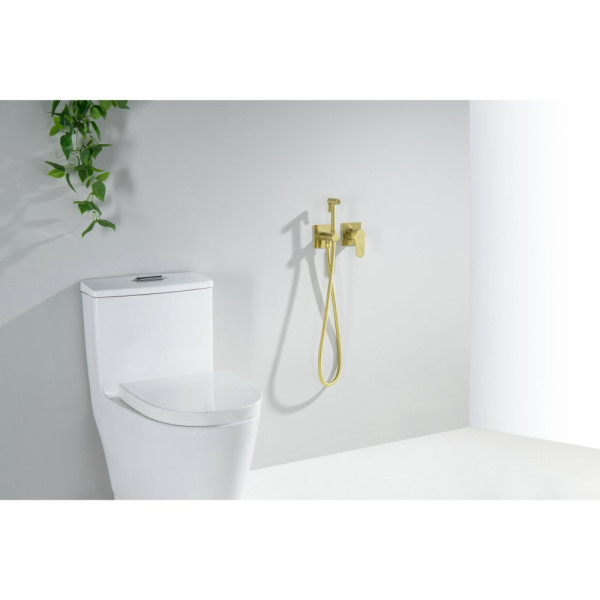 AQ1220BG ОБЕРОН комплект для гигиенического душа встроенный 2 отв. (смеситель + гигиеническая лейка + шланг), шлиф. золото. Фото 3