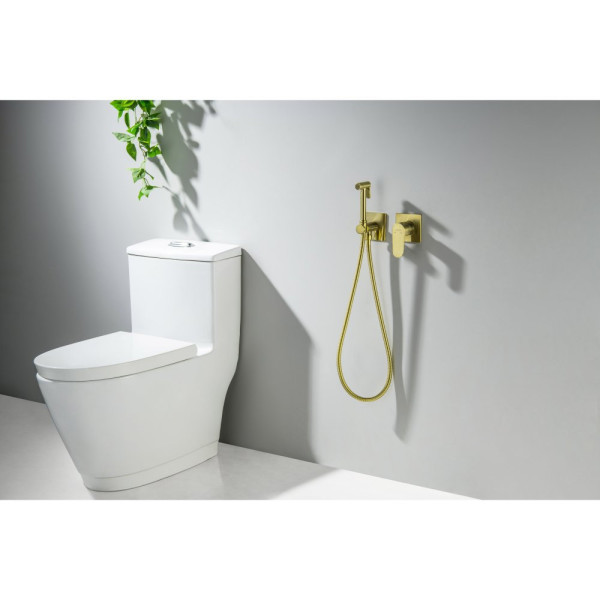 AQ1220BG ОБЕРОН комплект для гигиенического душа встроенный 2 отв. (смеситель + гигиеническая лейка + шланг), шлиф. золото. Фото 4