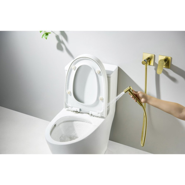 AQ1220BG ОБЕРОН комплект для гигиенического душа встроенный 2 отв. (смеситель + гигиеническая лейка + шланг), шлиф. золото. Фото 5