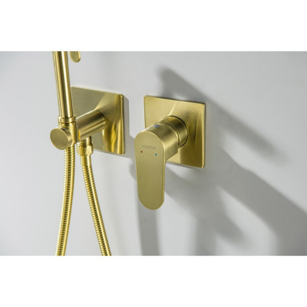 AQ1220BG ОБЕРОН комплект для гигиенического душа встроенный 2 отв. (смеситель + гигиеническая лейка + шланг), шлиф. золото. Фото 6