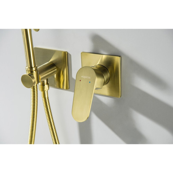 AQ1220BG ОБЕРОН комплект для гигиенического душа встроенный 2 отв. (смеситель + гигиеническая лейка + шланг), шлиф. золото. Фото 7
