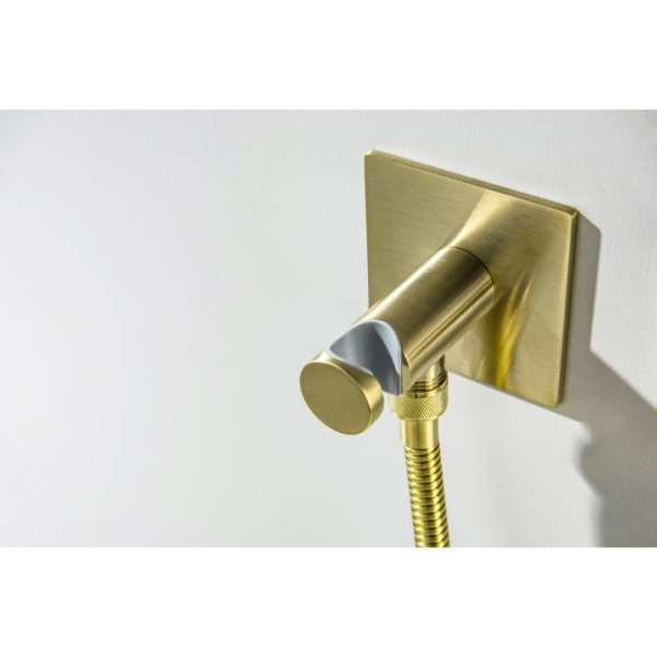 AQ1220BG ОБЕРОН комплект для гигиенического душа встроенный 2 отв. (смеситель + гигиеническая лейка + шланг), шлиф. золото. Фото 8