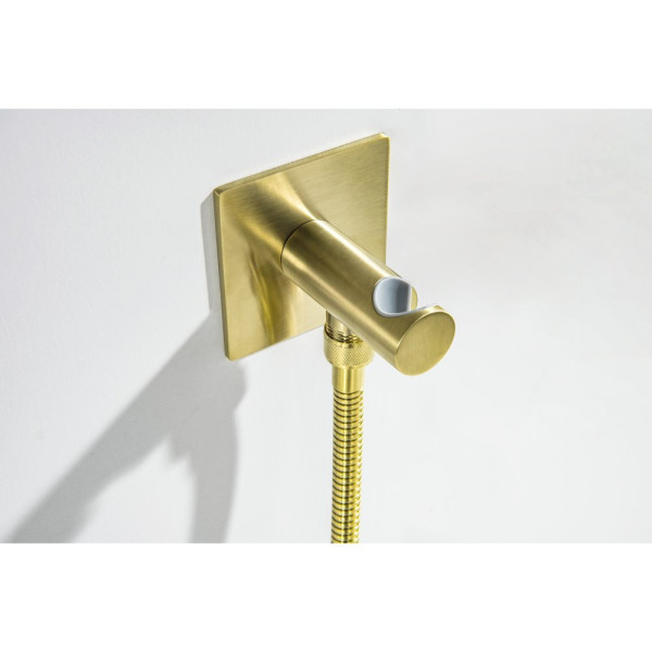 AQ1220BG ОБЕРОН комплект для гигиенического душа встроенный 2 отв. (смеситель + гигиеническая лейка + шланг), шлиф. золото. Фото 9