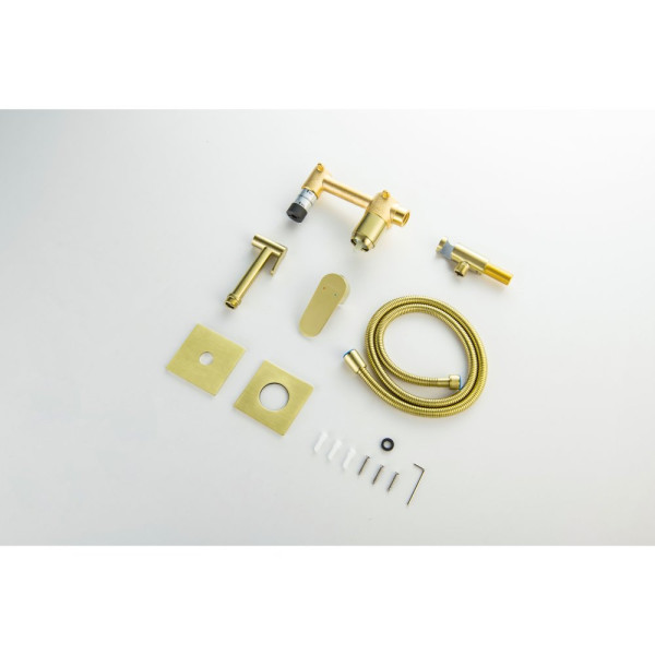 AQ1220BG ОБЕРОН комплект для гигиенического душа встроенный 2 отв. (смеситель + гигиеническая лейка + шланг), шлиф. золото. Фото 10