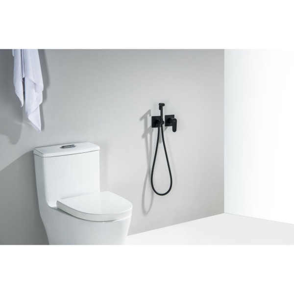 AQ1220MB ОБЕРОН комплект для гигиенического душа встроенный 2 отв. (смеситель + гигиеническая лейка + шланг), матовый черный. Фото 3