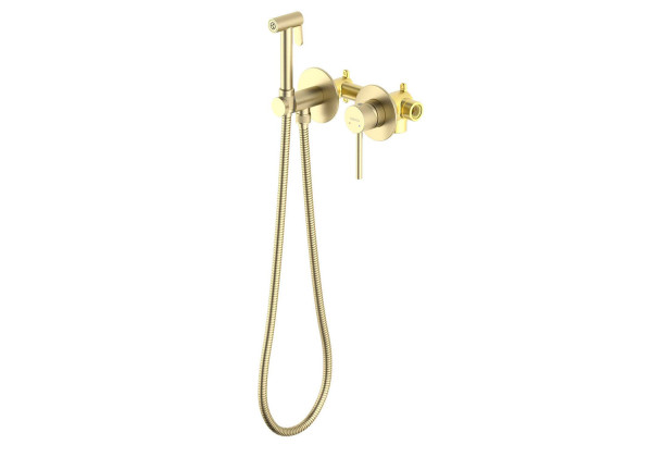 AQ1319BG ЕВРОПА комплект для гигиенического душа встроенный 2 отв. (смеситель + гигиеническая лейка + шланг), шлиф. золото. Фото 2