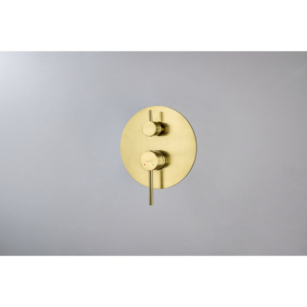 AQ1346BG ЕВРОПА смеситель для ванны 2 режима (внешняя и скрытая часть), шлиф. золото. Фото 3